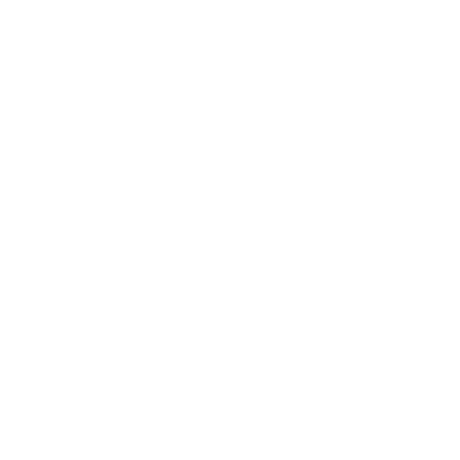 BOOST Logo